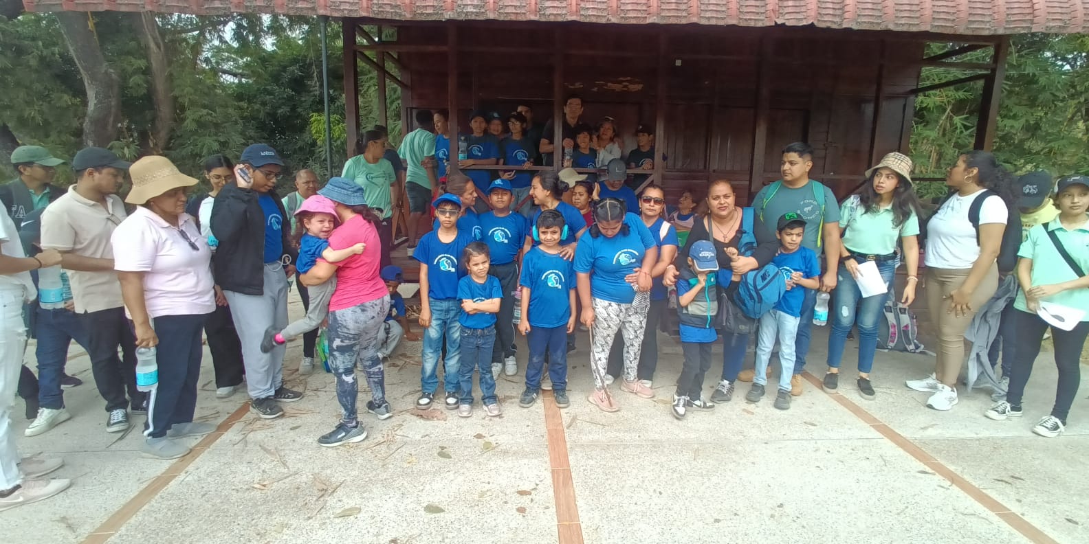 Imagen 29